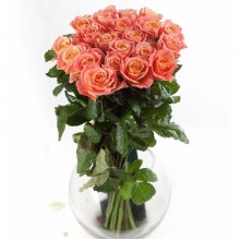Букет 25 роз «Мисс Пигги»